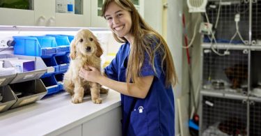 What Does a Kennel Technician Do