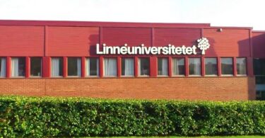 Linnaeus University Scholarships program