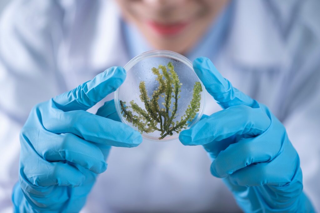Online Jobs you can use with a Bachelor in Biology