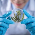 Online Jobs you can use with a Bachelor in Biology
