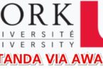 York University International Student Scholarships and Awards