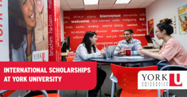 York University Science International Entrance Scholarship