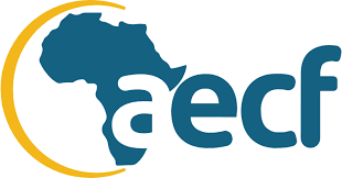 Gender Officer at Africa Enterprise Challenge Fund