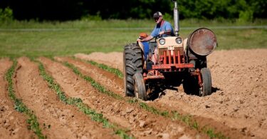 Is Farming/Seeds/Milling A Good Career Path In 2023 (All you need to know)