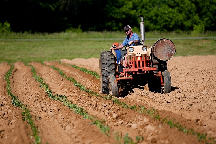 Is Farming/Seeds/Milling A Good Career Path In 2023 (All you need to know)
