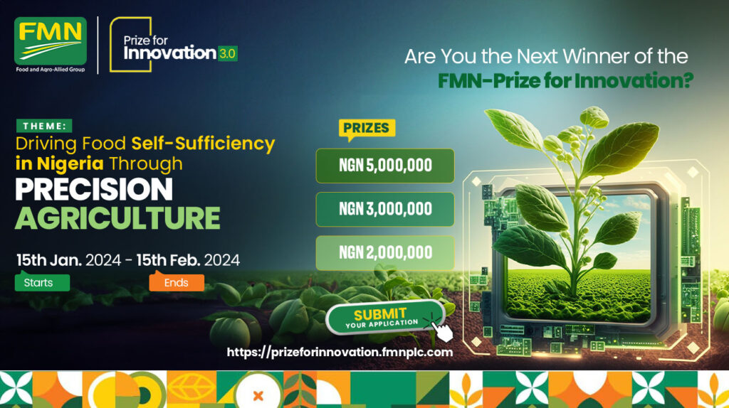 FMN Prize for Innovation