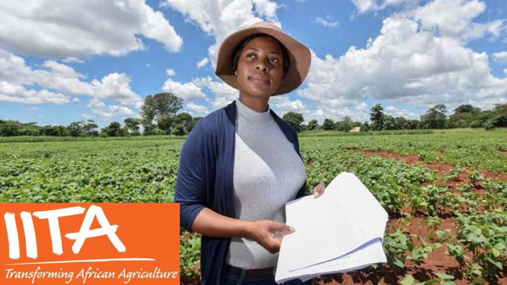 IITA Youth in Agribusiness Training Program