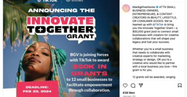 BGV, TikTok Innovate Together Grant Program