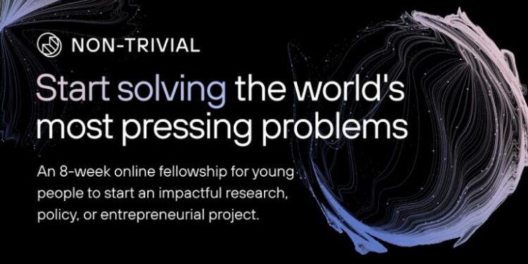 Non-trivial Fellowship Program