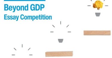 SDG Lab/Rethinking Economics Beyond GDP Essay Competition