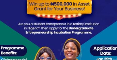 Undergraduate Entrepreneurship Incubation Program