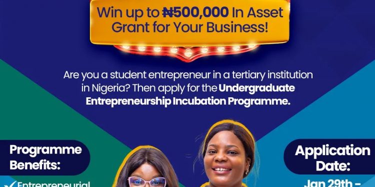 Undergraduate Entrepreneurship Incubation Program