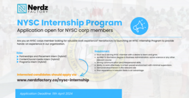 NerdzFactory NYSC Internship Program