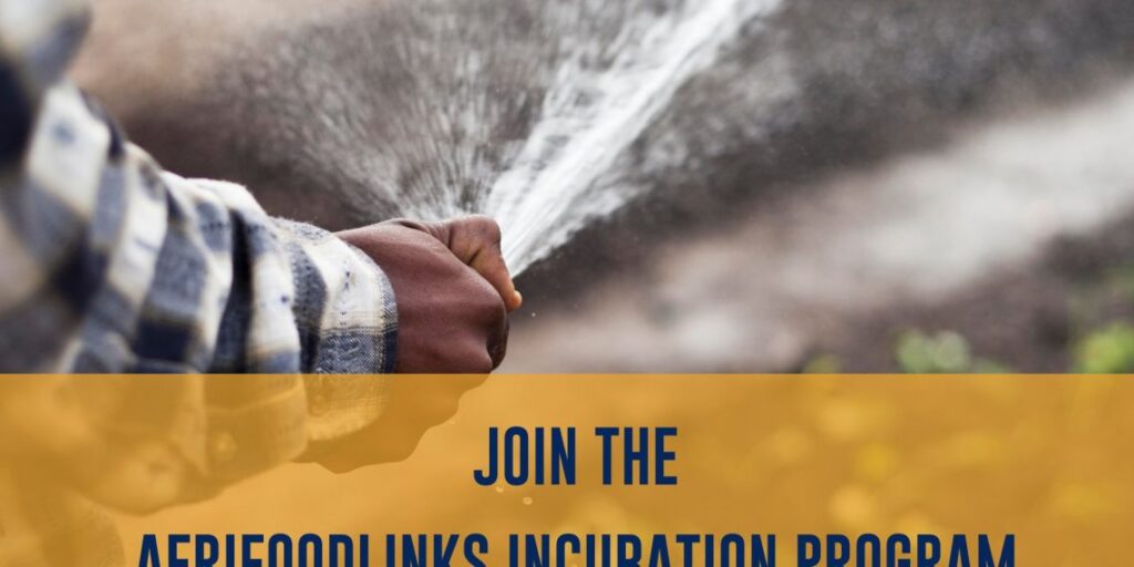 Oribi x AfriFOODlinks Incubation Program
