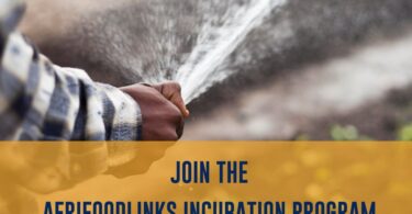 Oribi x AfriFOODlinks Incubation Program