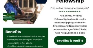 Sprinng Writing Fellowship Online Mentorship Program