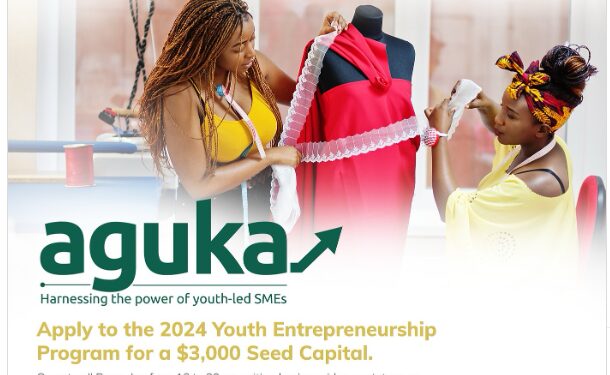 Tony Elumelu Foundation/UNDP Aguka Ideation Entrepreneurship Program