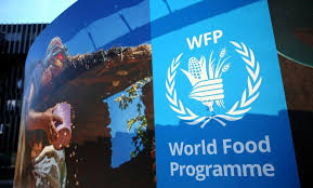 World Food Program (WFP) Internship ( Up to $1000 Monthly Stipend )