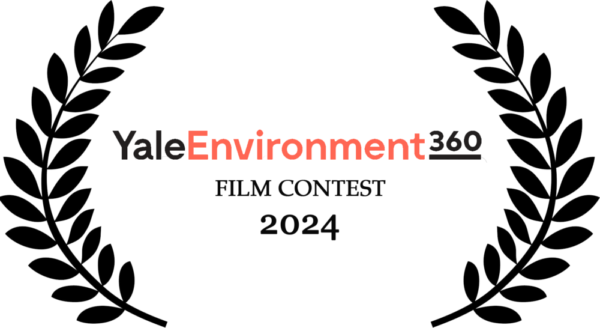 Yale Environment