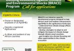 African Food Changemakers BRACE Capacity Development Program For Agripreneurs (SMEs)