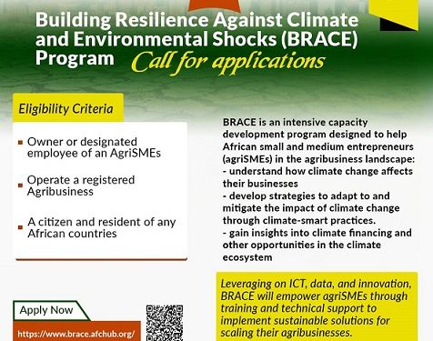 African Food Changemakers BRACE Capacity Development Program For Agripreneurs (SMEs)