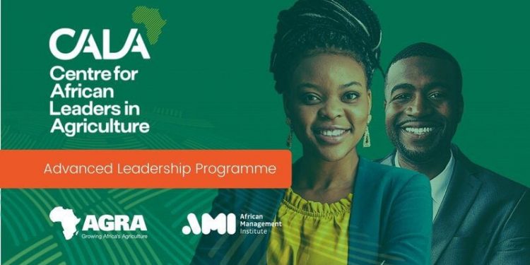Centre for African Leaders in Agriculture’s (CALA) Advanced Leadership Program