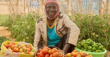 WFP Niger Innovation Challenge