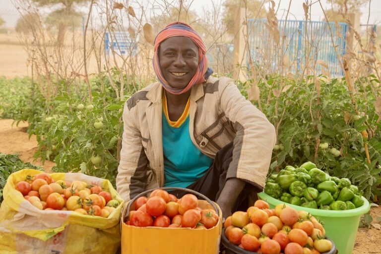 WFP Niger Innovation Challenge