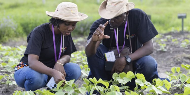 Accelerating African Women’s Leadership in Climate Action Fellowship