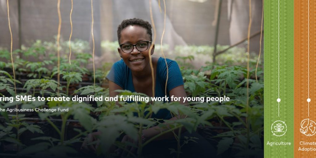 Agribusiness Challenge Fund For SMEs in Africa