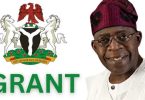 Four Million Nigerians Apply for One Million Government Palliative Grants
