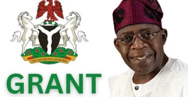 Four Million Nigerians Apply for One Million Government Palliative Grants