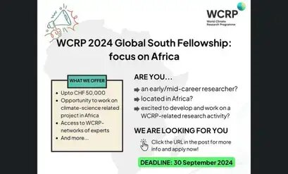 Global South Fellowship