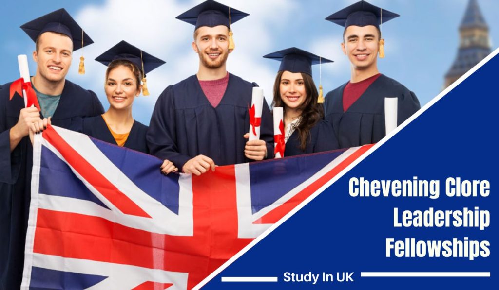 Chevening Clore Leadership Fellowship