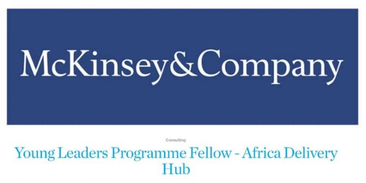 McKinsey & Company Young Leaders Program