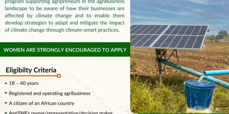 BRACE Program Cohorts 2 Batch 3 For Agribusinesses Operating in Africa