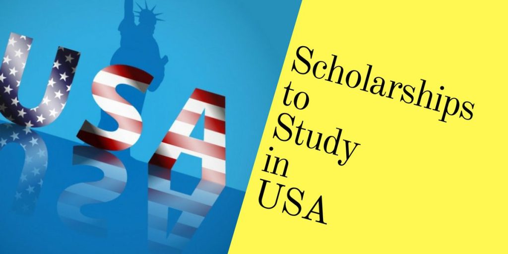 University of Miami Stamps Scholarship