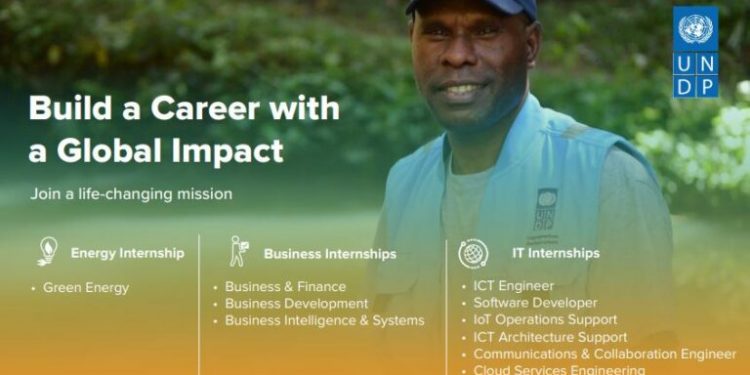 UNDP IT Management Paid Internship Program