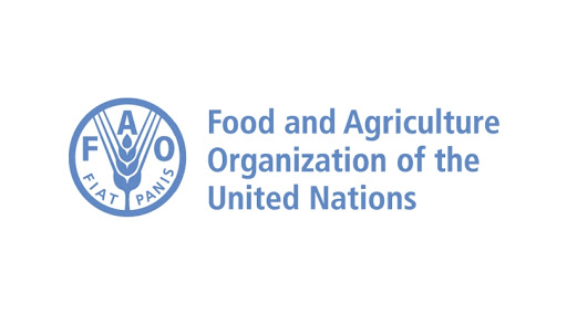 UN FAO Regular Volunteer Program for Africa (RAF)