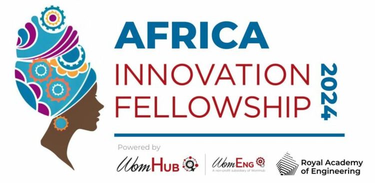 WomHub African Innovation Fellowship​