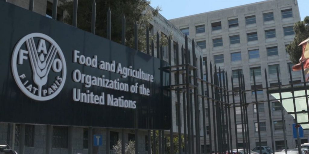 FAO Internship Program