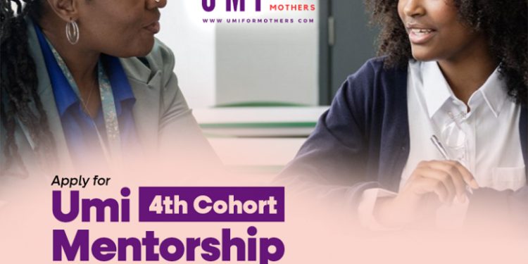 Umi Mentorship Program