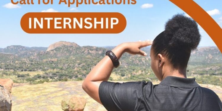 African World Heritage Fund Remote Internship