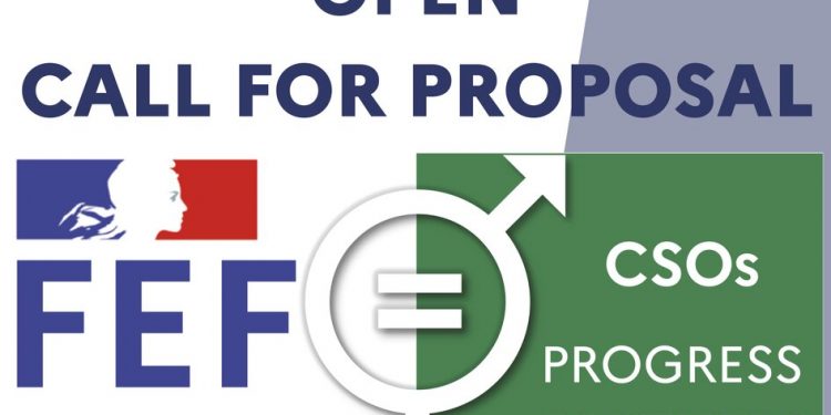French Embassy Fund for Nigerian Civil Society