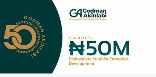 Godman Akinlabi Enterprise Development Fund For SMEs