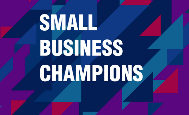 ICC-ITC-WTO MSME Group Small Business Champions Competition