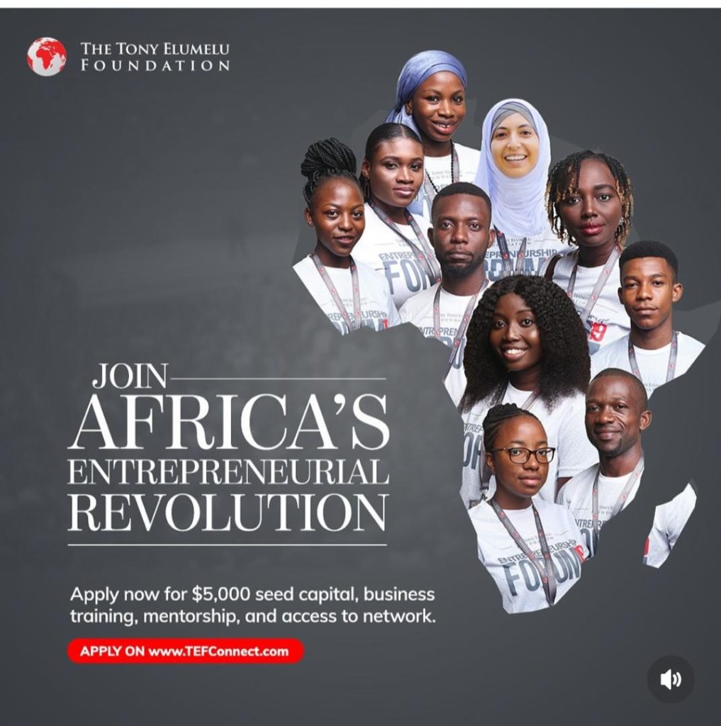 Tony Elumelu Foundation Entrepreneurship Program SEED CAPITAL 2025 For African Entrepreneurs (Up to $5000 Grant , Training and Mentorship) 1