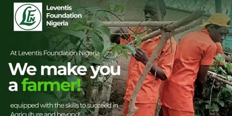 Leventis Foundation Agricultural Training Program