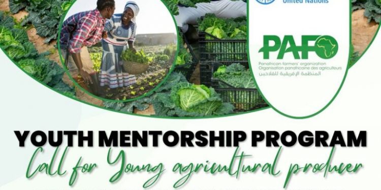 UN FAO-PAFO Youth Mentorship Program