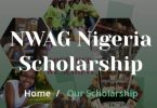 Nigerian Women Association of Georgia Scholarship Program